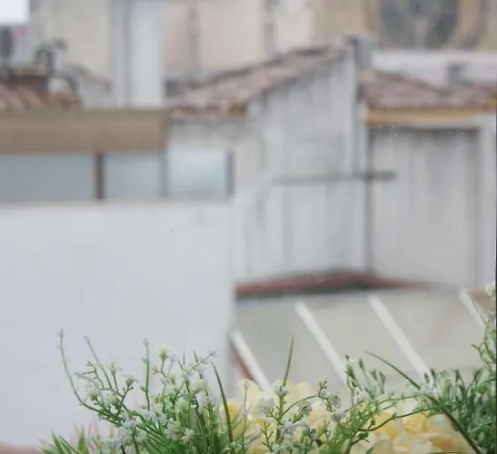 La Siesta - En El Corazon De Daire *